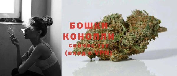 дживик Бородино