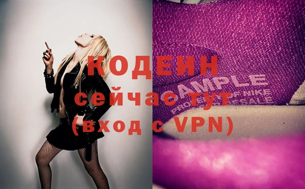 дживик Бородино