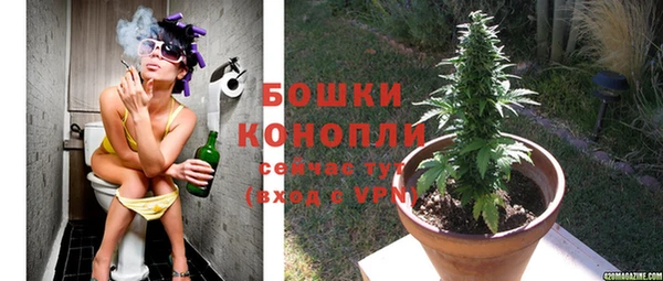 дживик Бородино