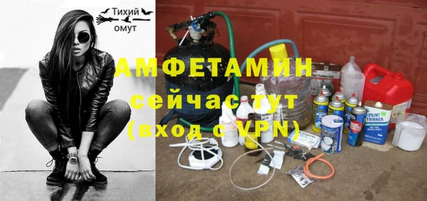 дживик Бородино
