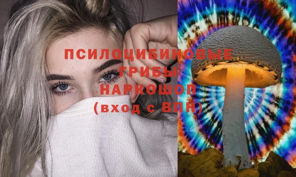 дживик Бородино