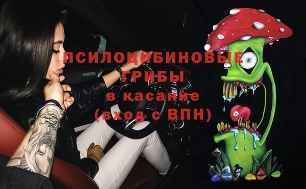 дмт Бронницы